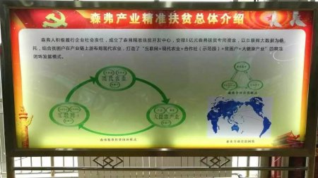 陜西森弗:億萬資金助力扶貧