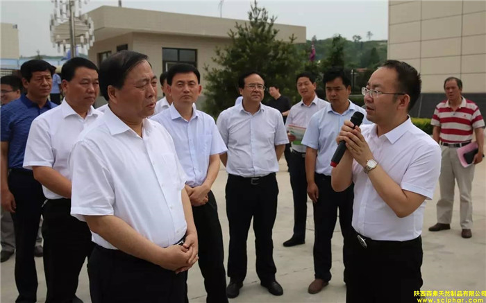 省委常委、省委統(tǒng)戰(zhàn)部部長、副省長姜鋒蒞臨森弗產(chǎn)業(yè)園調(diào)研大健康產(chǎn)業(yè)發(fā)展情況