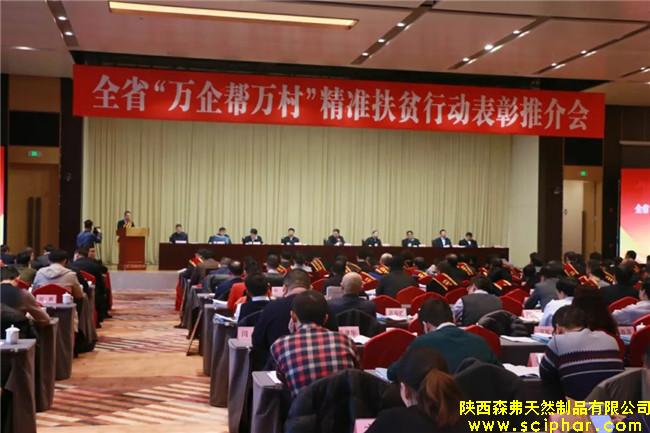 陜西森弗榮獲全省“萬企幫萬村”精準(zhǔn)扶貧行動先進民營企業(yè)