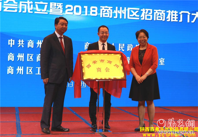 森弗集團(tuán)董事長(zhǎng)金新康當(dāng)選首屆西安市商州商會(huì)會(huì)長(zhǎng)
