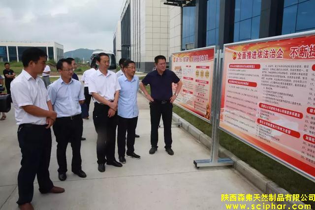 商洛市"七五”普法督察組調(diào)研森弗公司依法治企工作情況