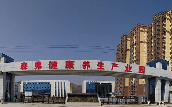 陜西森弗集團董事長金新康緊抓精準扶貧